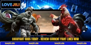 Cockfight Odds Today - Review Current Fight Lines Now