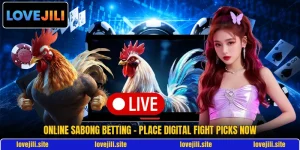 Online Sabong Betting - Place Digital Fight Picks Now